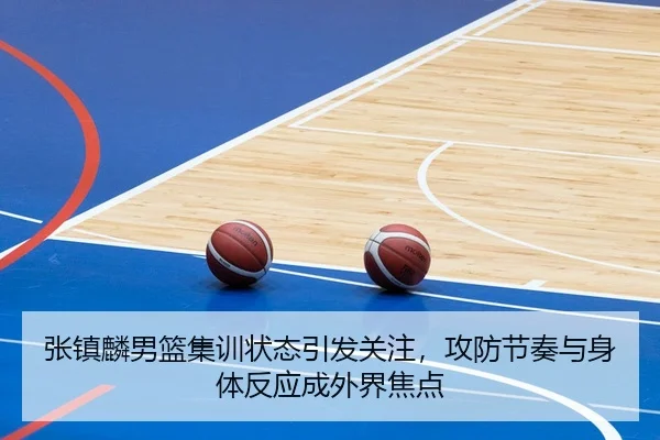 张镇麟男篮集训状态引发关注，攻防节奏与身体反应成外界焦点